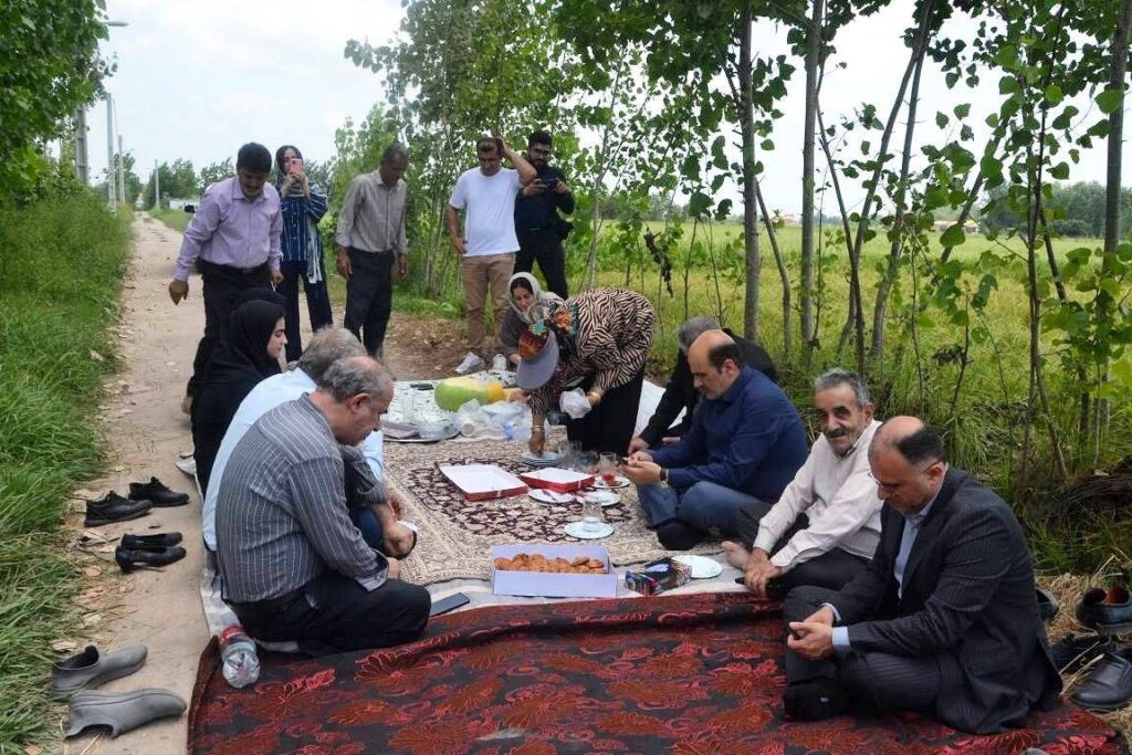 مکانیزاسیون، ضامن پایداری تولید برنج و حمایت از کشاورزان است 2 - توسعه مکانیزاسیون، ضامن پایداری تولید برنج و حمایت از کشاورزان است