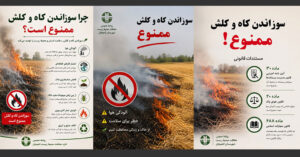 هشدار جدی اداره محیط زیست لاهیجان: سوزاندن کاه و کلش ممنوع و مستوجب پیگرد قانونی است