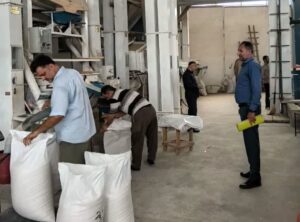 آغاز گشت نظارتی شالیکوبی‌های لاهیجان؛ بررسی نرخ تبدیل شلتوک به برنج سفید