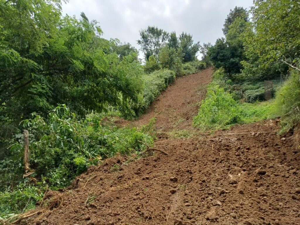 صدور ۸ اخطار برای تغییر کاربری غیرمجاز اراضی کشاورزی در ۴ روستای لاهیجان 3 5a86f596 915f 4346 9ec9 fae0d7596c44 - صدور ۸ اخطار برای تغییر کاربری غیرمجاز اراضی کشاورزی در ۴ روستای لاهیجان