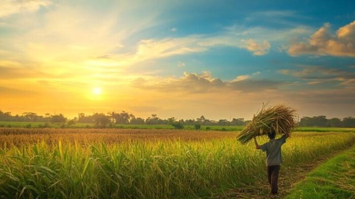 آغاز آخرین ماه تابستان با هوای پایدار در گیلان