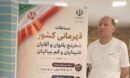 قهرمانی شطرنج‌باز گیلانی در مسابقات کشوری نابینایان و کم‌بینایان؛ اردلان پوررضا ملی‌پوش شد