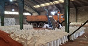 تقویت کشاورزی لاهیجان با کودهای تخصصی؛ شرکت خدمات حمایتی گیلان عملکرد موفقی داشت