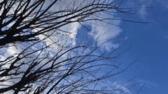 شکسته شدن رکورد گرمای بهمن ماه در رشت و لاهیجان