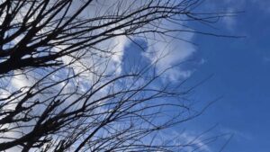 شکسته شدن رکورد گرمای بهمن ماه در رشت و لاهیجان